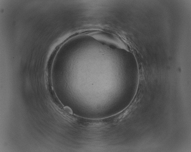 X0000071780342200606301226