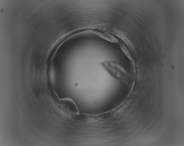 X0000071780346200606301226