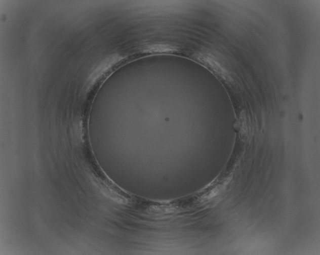 X0000071780351200606301226