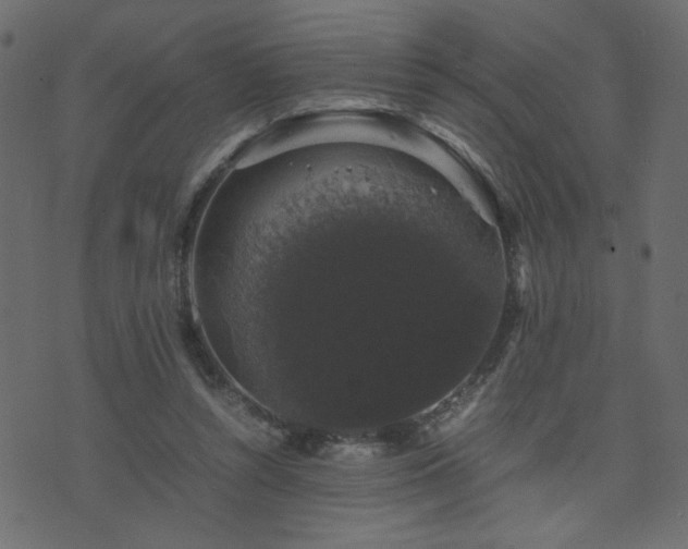 X0000071780352200606301226