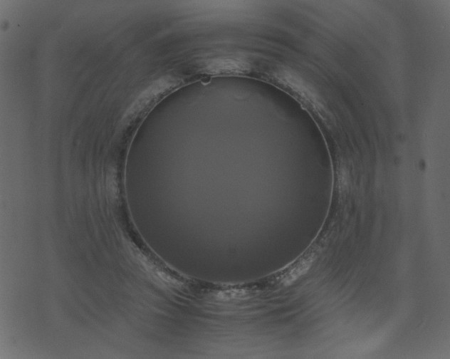 X0000071780353200606301226