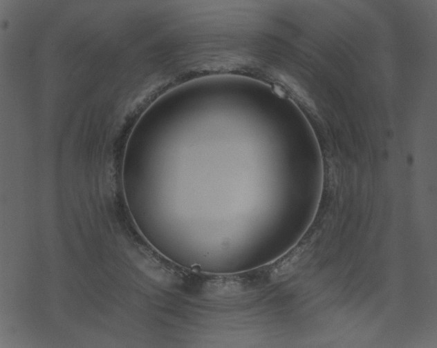 X0000071780354200606301226