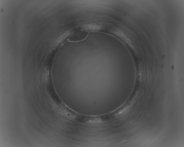 X0000071780355200606301226