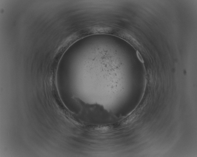 X0000071780357200606301226