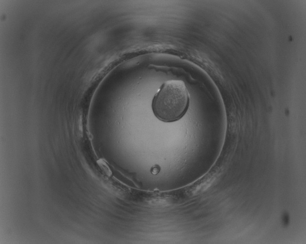 X0000071780358200606301226