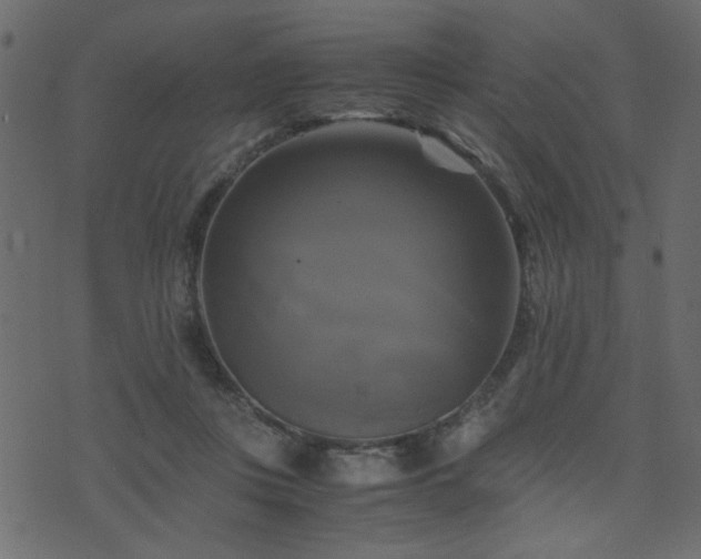 X0000071780359200606301226