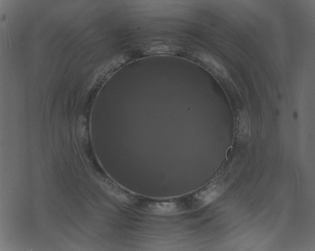 X0000071780361200606301226