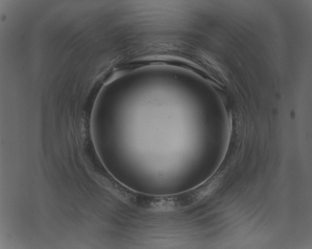 X0000071780362200606301226