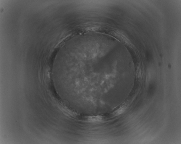 X0000071780363200606301226