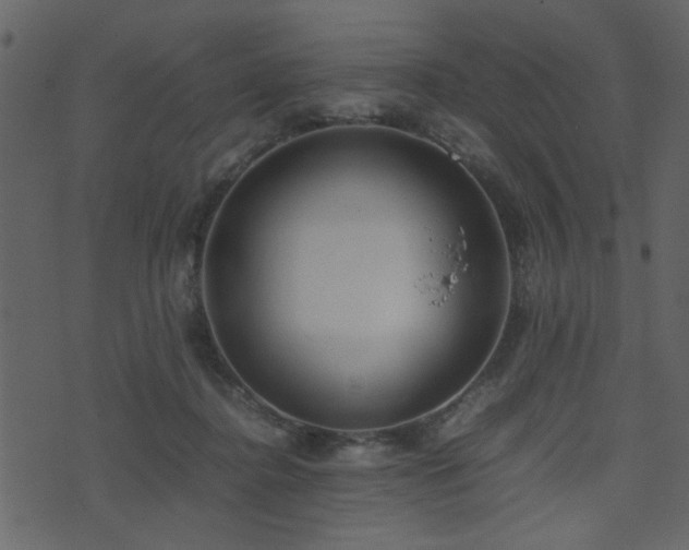 X0000071780364200606301226