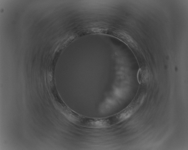 X0000071780365200606301226