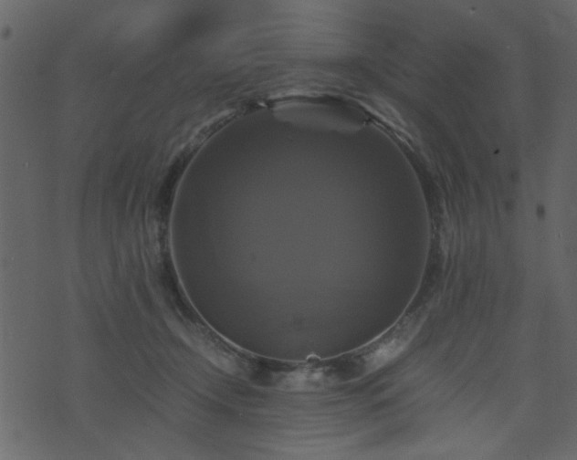 X0000071780366200606301226