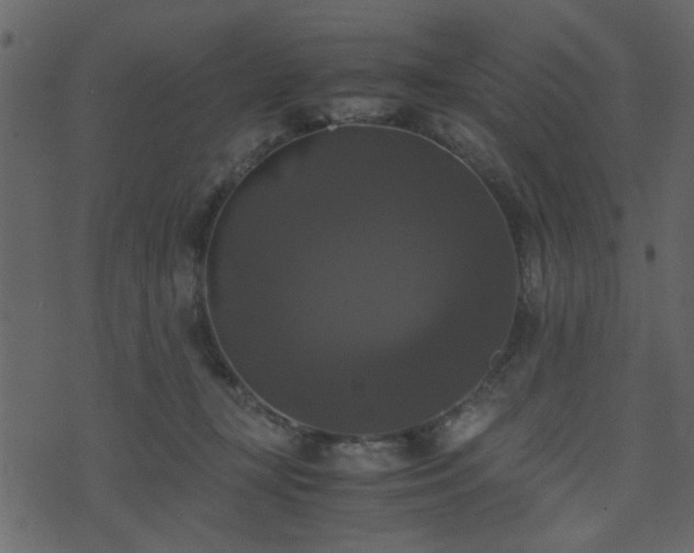 X0000071780367200606301226