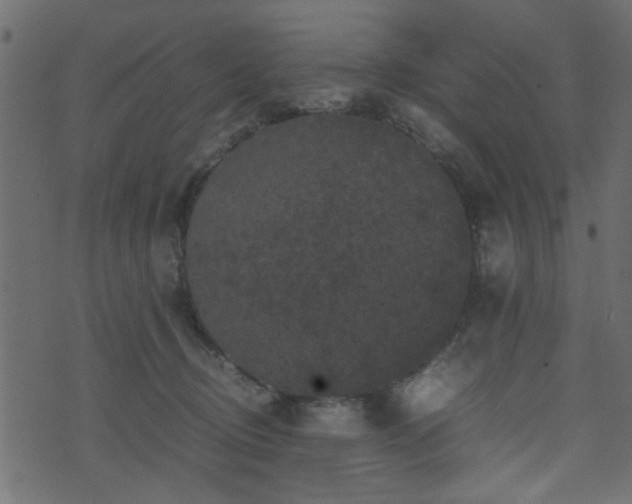 X0000071780370200606301226