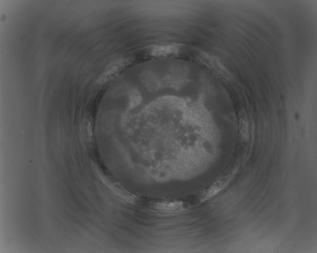 X0000071780375200606301226