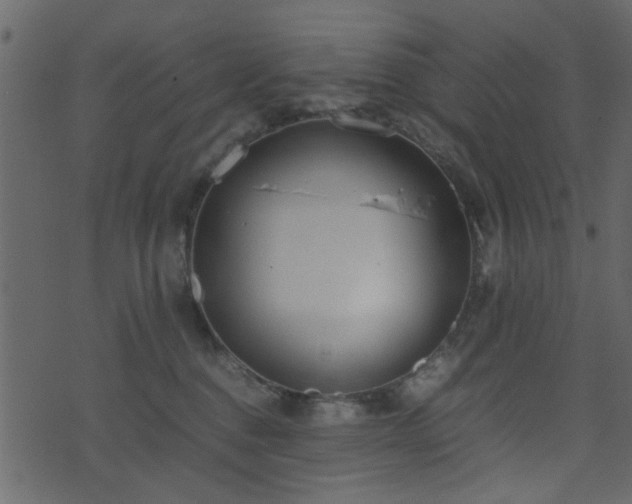 X0000071780376200606301226