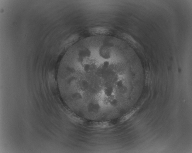 X0000071780377200606301226