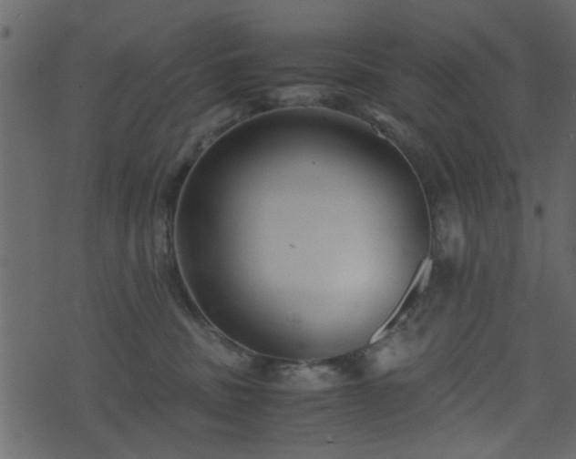 X0000071780379200606301226