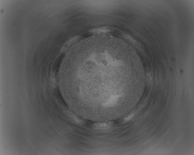 X0000071780381200606301226