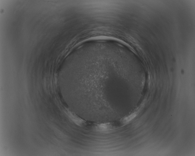 X0000071780382200606301226