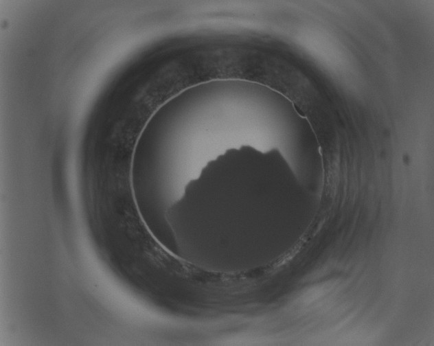 X0000071780383200606301226