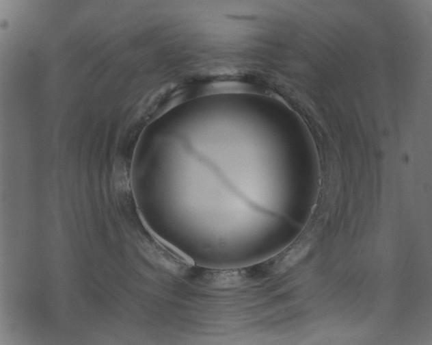 X0000071780384200606301226