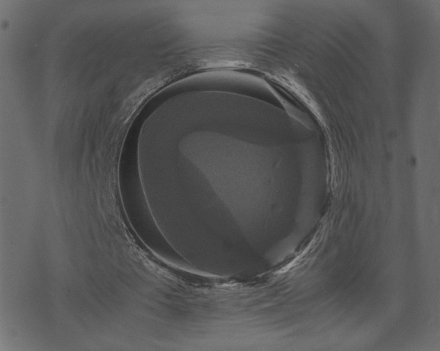 X0000071780385200606301225