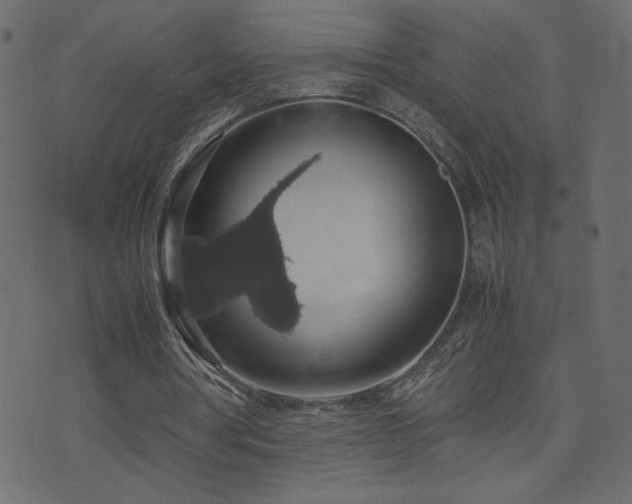 X0000071780386200606301225