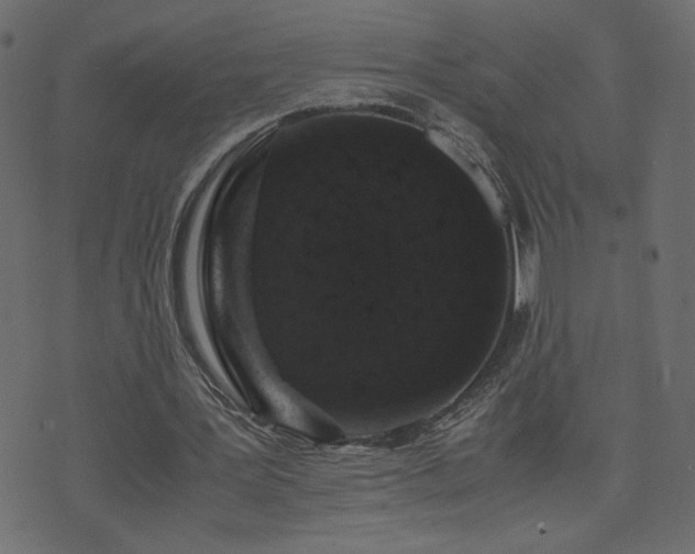 X0000071780387200606301225