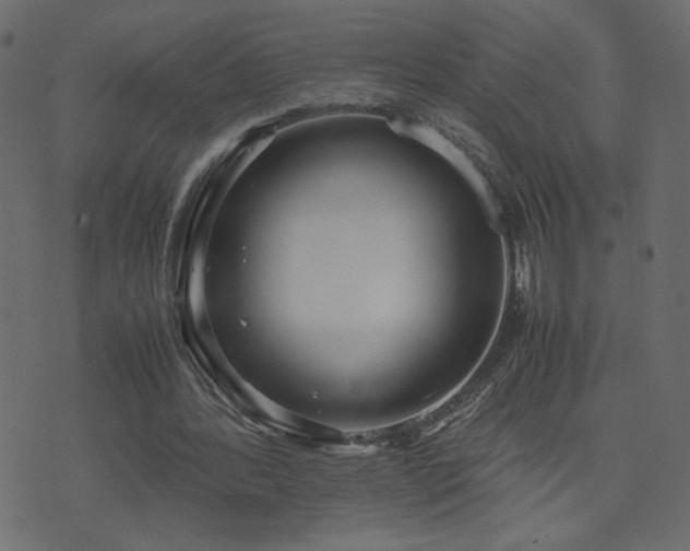 X0000071780388200606301225