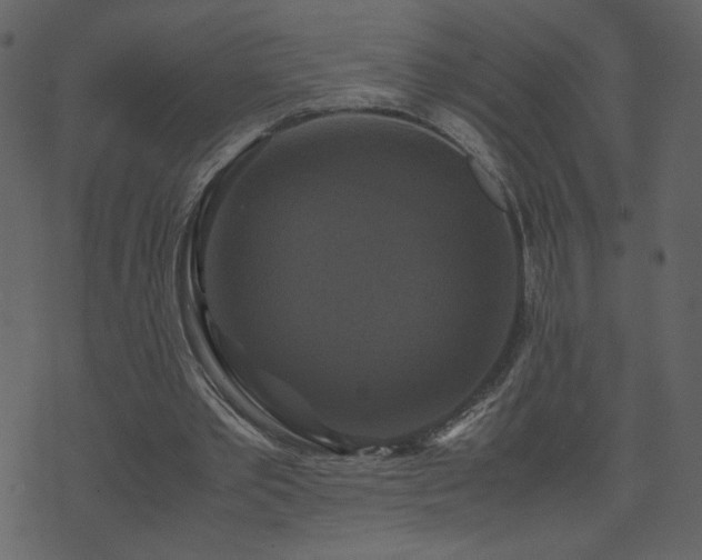 X0000071780389200606301225