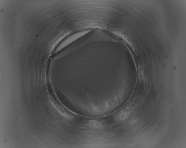 X0000071780390200606301225