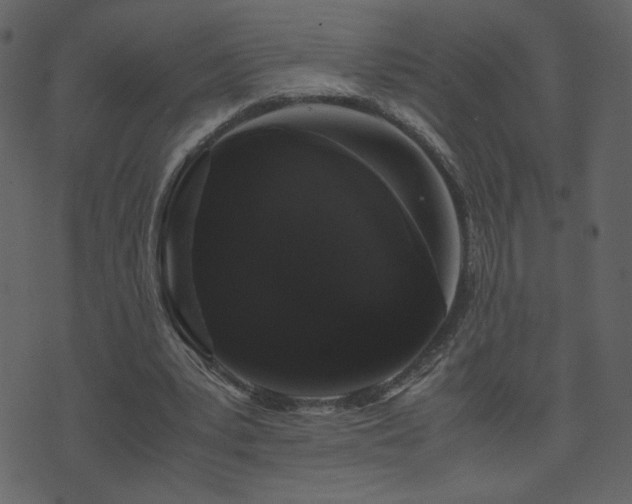 X0000071780391200606301225