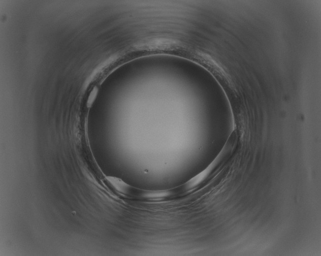 X0000071780392200606301225