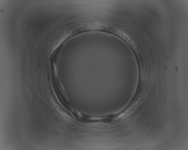 X0000071780393200606301225