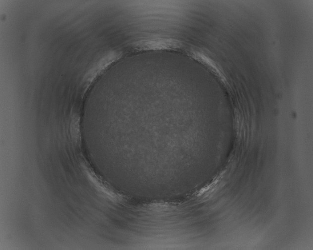 X0000071780394200606301225