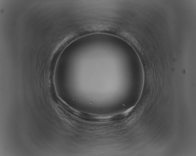 X0000071780395200606301225