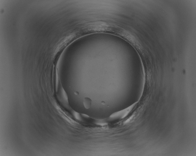 X0000071780397200606301225