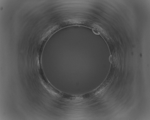 X0000071780398200606301225