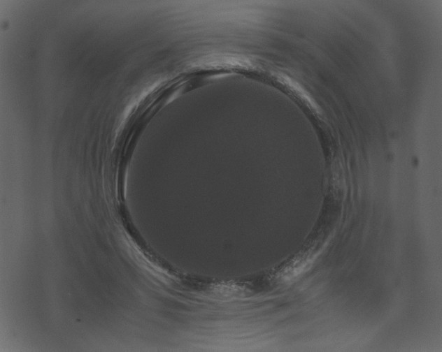 X0000071780399200606301225