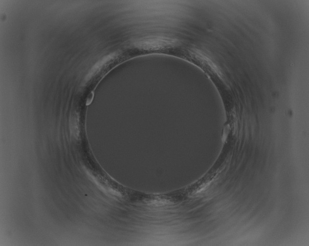 X0000071780400200606301225