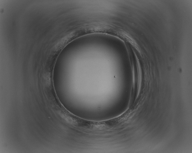 X0000071780401200606301225