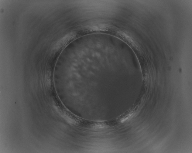 X0000071780402200606301225