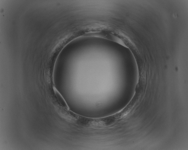 X0000071780403200606301225