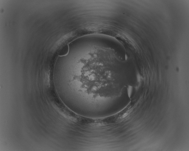 X0000071780404200606301225