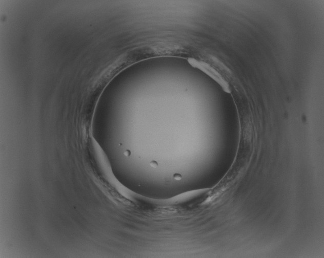 X0000071780405200606301225