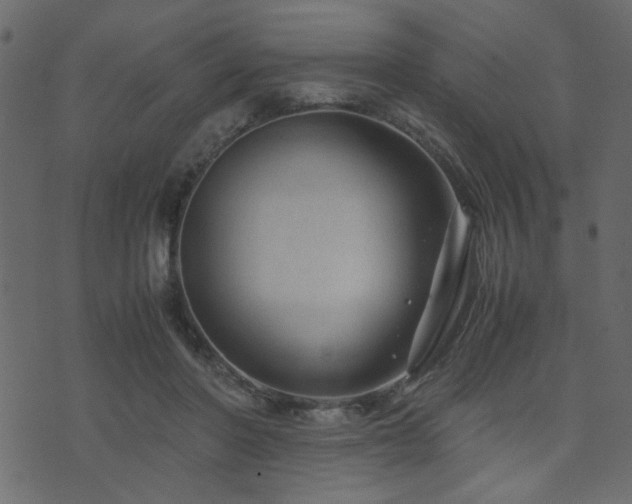 X0000071780406200606301225