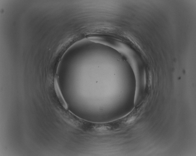 X0000071780407200606301225