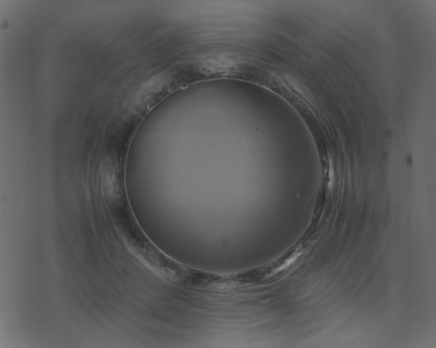 X0000071780408200606301225