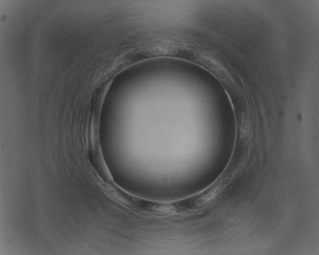 X0000071780409200606301225